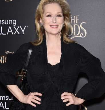 Meryl Streep Bio Age Husband Young Movies Daughter Net Worth